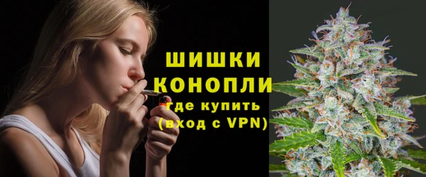 apvp Каменногорск