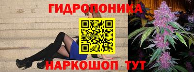 мдпв Партизанск