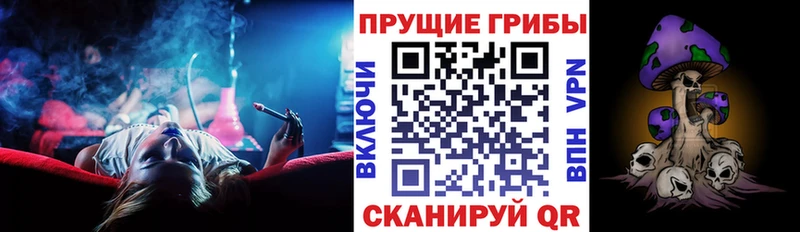 Галлюциногенные грибы Psilocybine cubensis  сколько стоит  Рузаевка 
