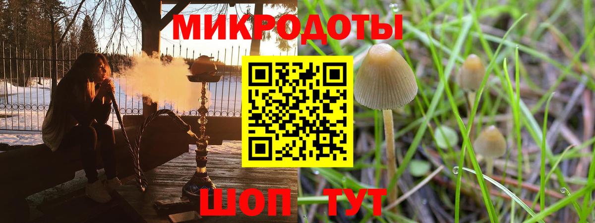 Псилоцибиновые грибы Рузаевка